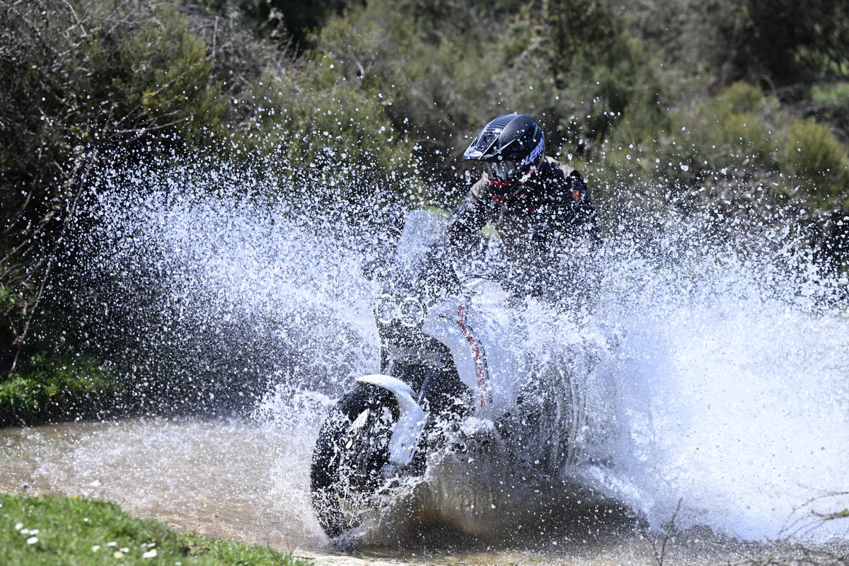 Ducati DesertX 31